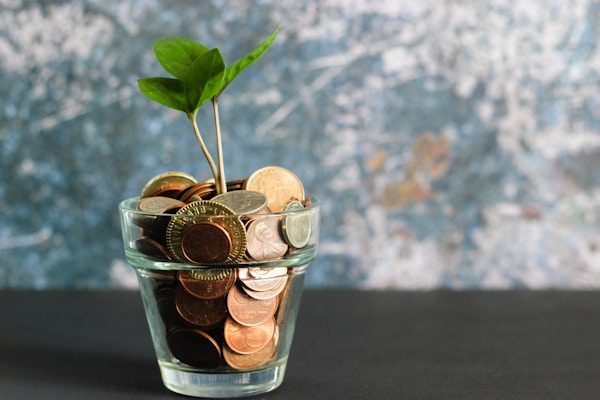 loan management